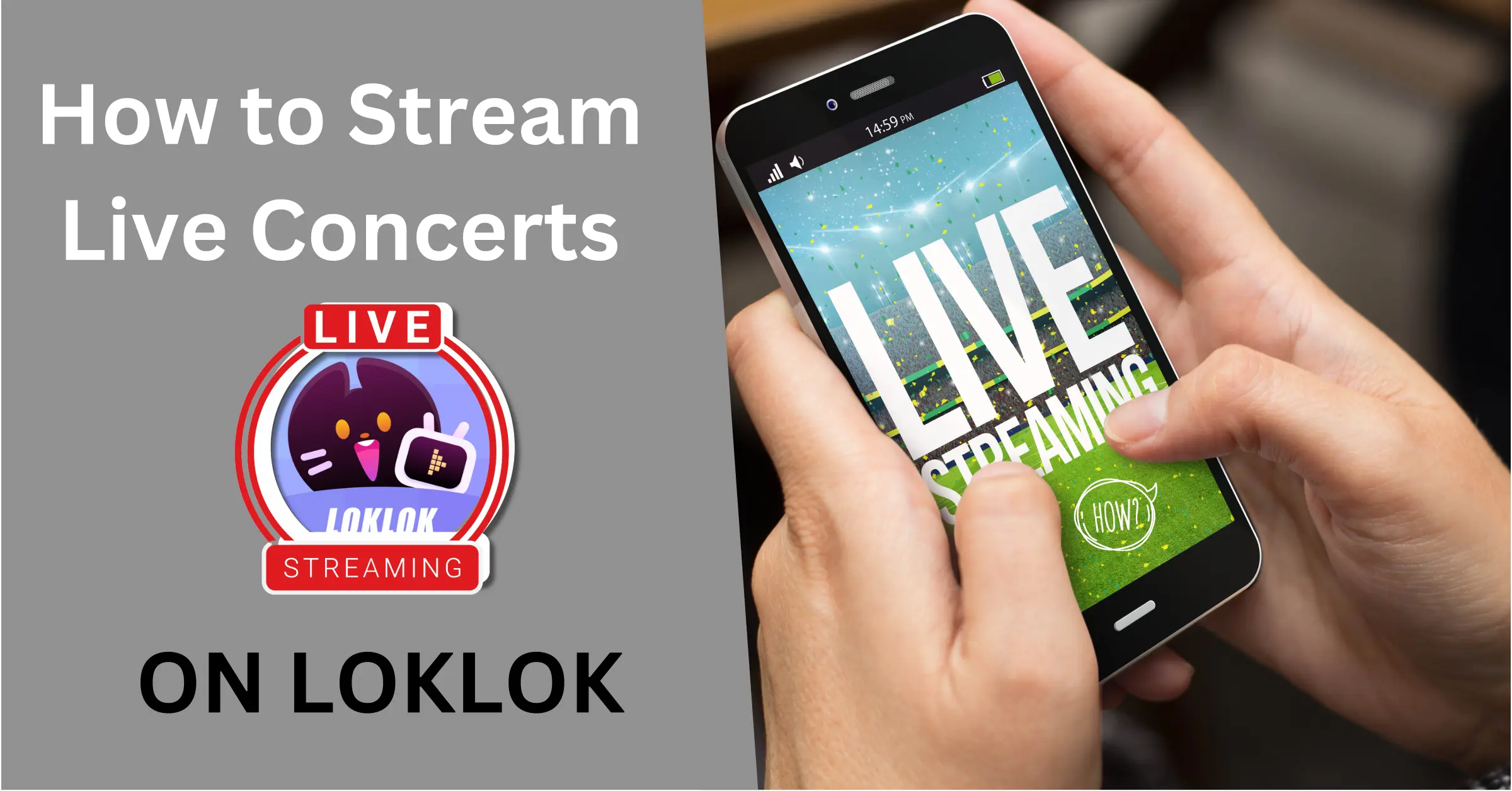 How to Stream Live Concerts on Loklok APK